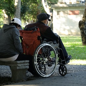 Assistenza sociale Assistenza sociale