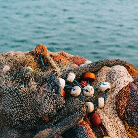 Pesca Pesca