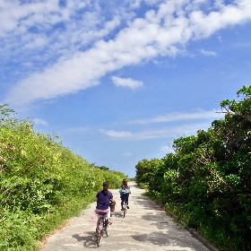 Pista ciclabile Pista ciclabile